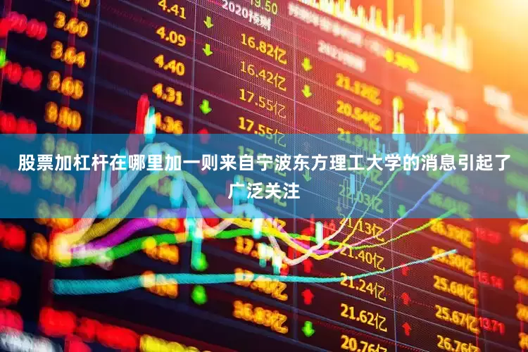 股票加杠杆在哪里加一则来自宁波东方理工大学的消息引起了广泛关注