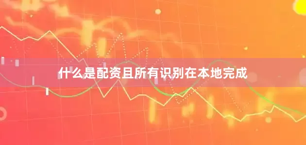 什么是配资且所有识别在本地完成